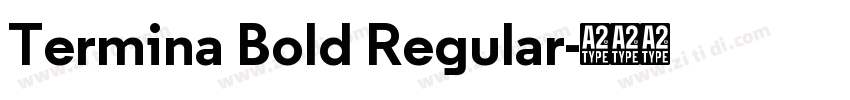 Termina Bold Regular字体转换